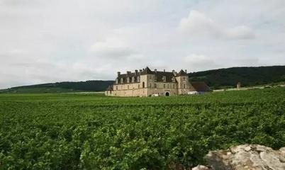 游走在法國的胃:勃艮第的美食美酒